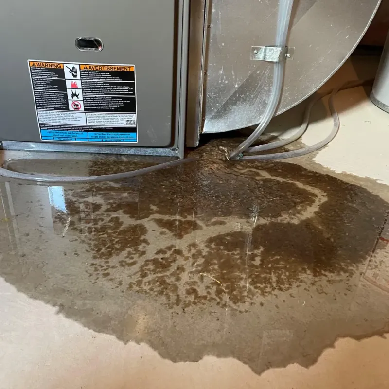 Appliance Leak Cleanup in Dalton, GA